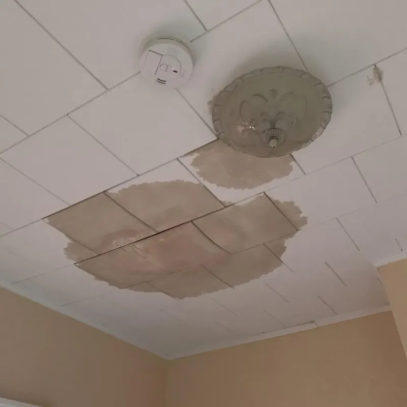 Ceiling Water Damage Repair in McArthur, OH