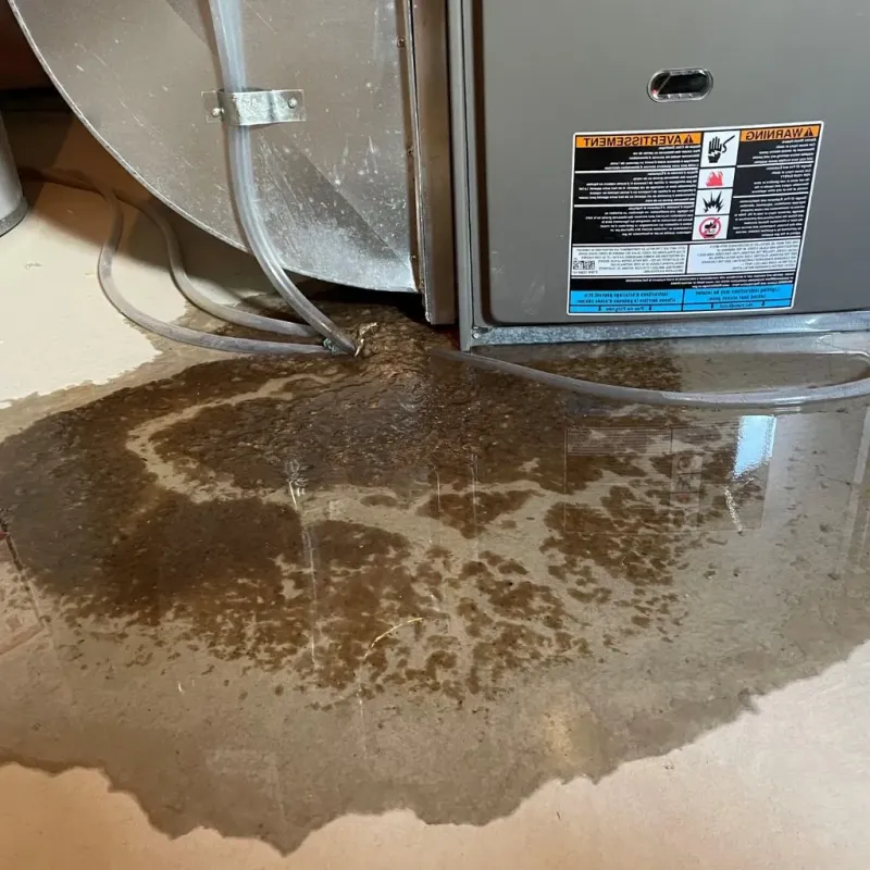 Pipe Burst and Leak Restoration in McArthur, OH