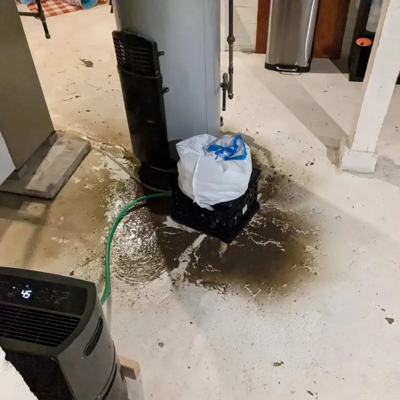 Sewage Backup Cleanup Service in McArthur, OH